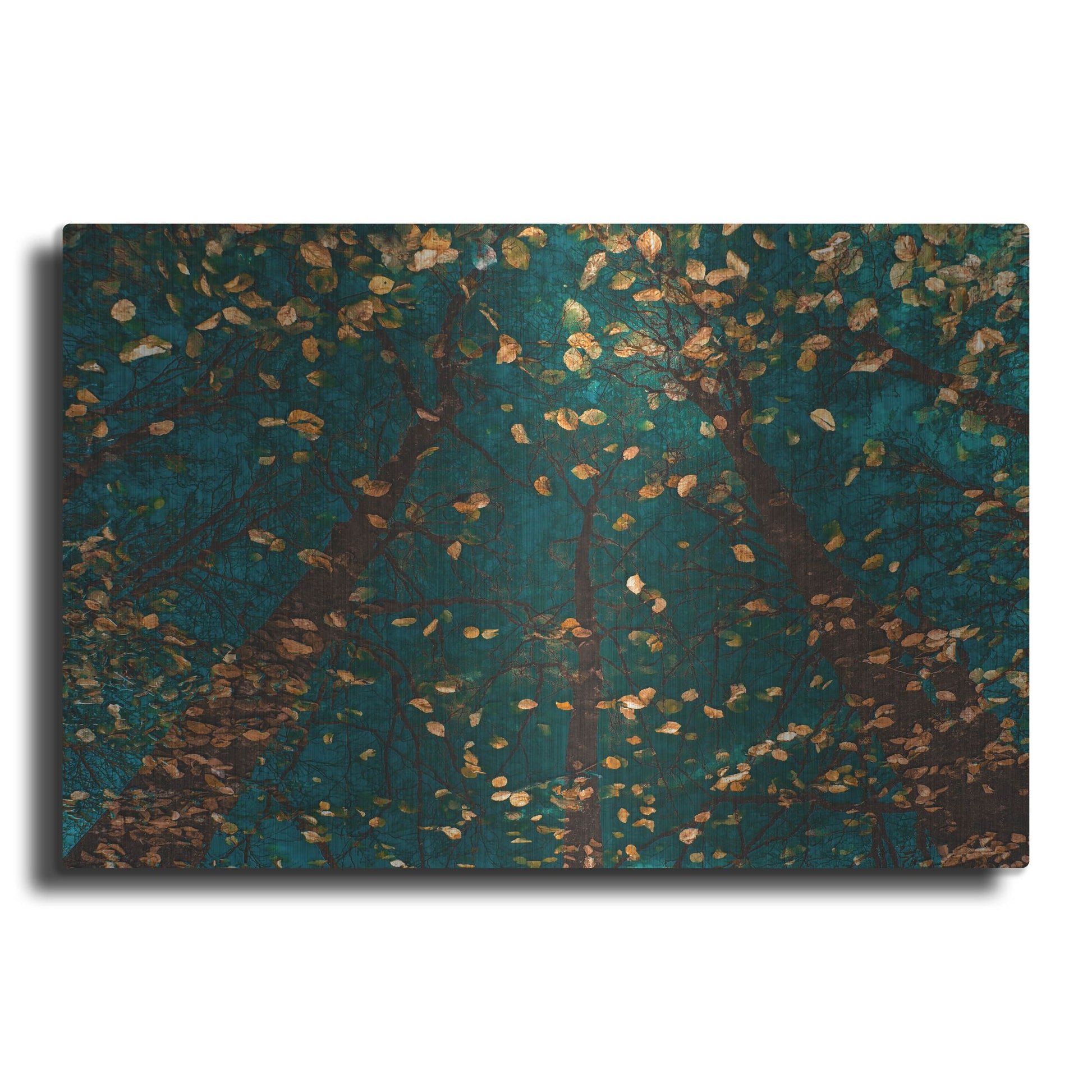 Luxe Metal Art 'Plato's Trees' by Lars Van de Goor, Metal Wall Art