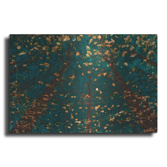 Luxe Metal Art 'Plato's Trees' by Lars Van de Goor, Metal Wall Art