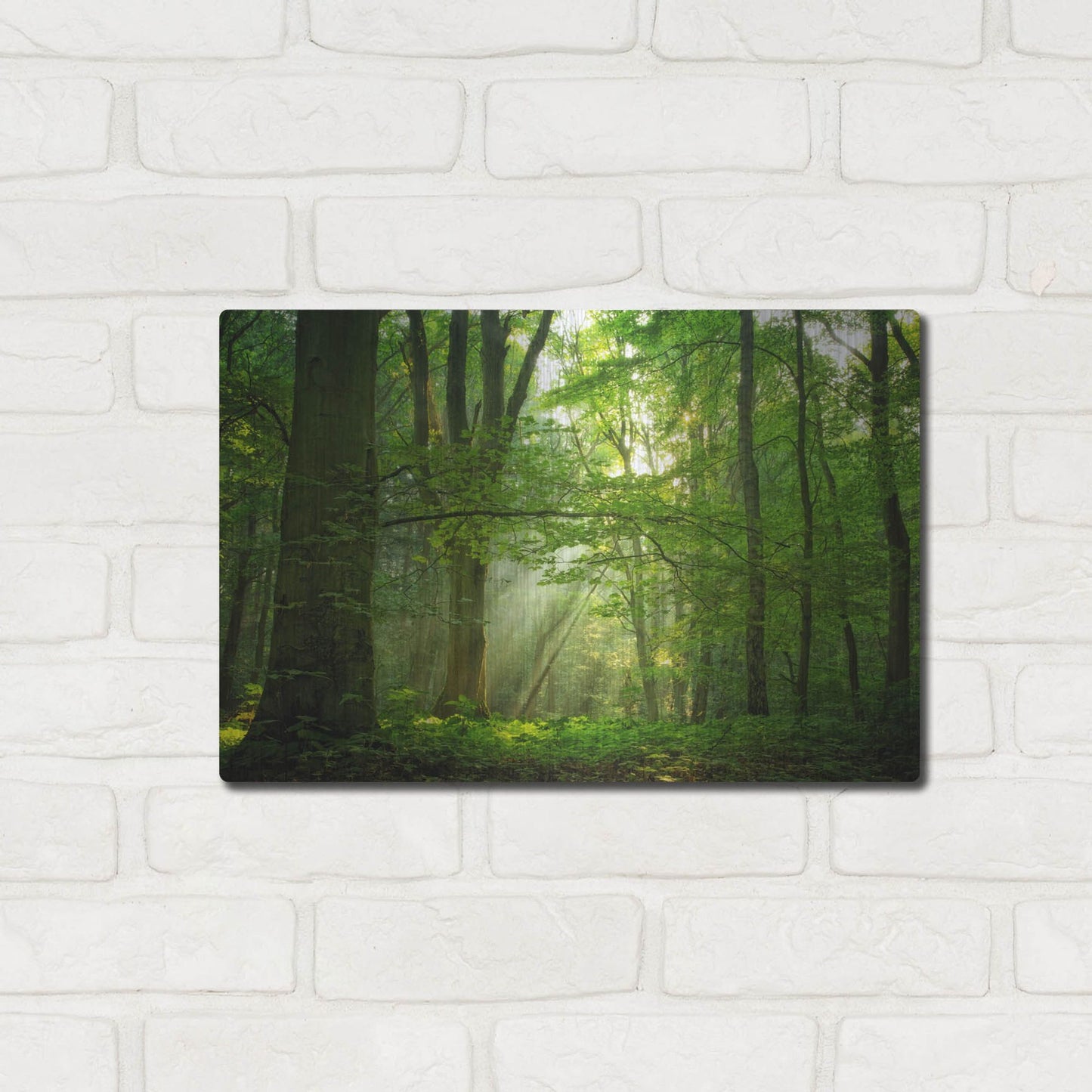 Luxe Metal Art 'Breathe' by Lars Van de Goor, Metal Wall Art,16x12