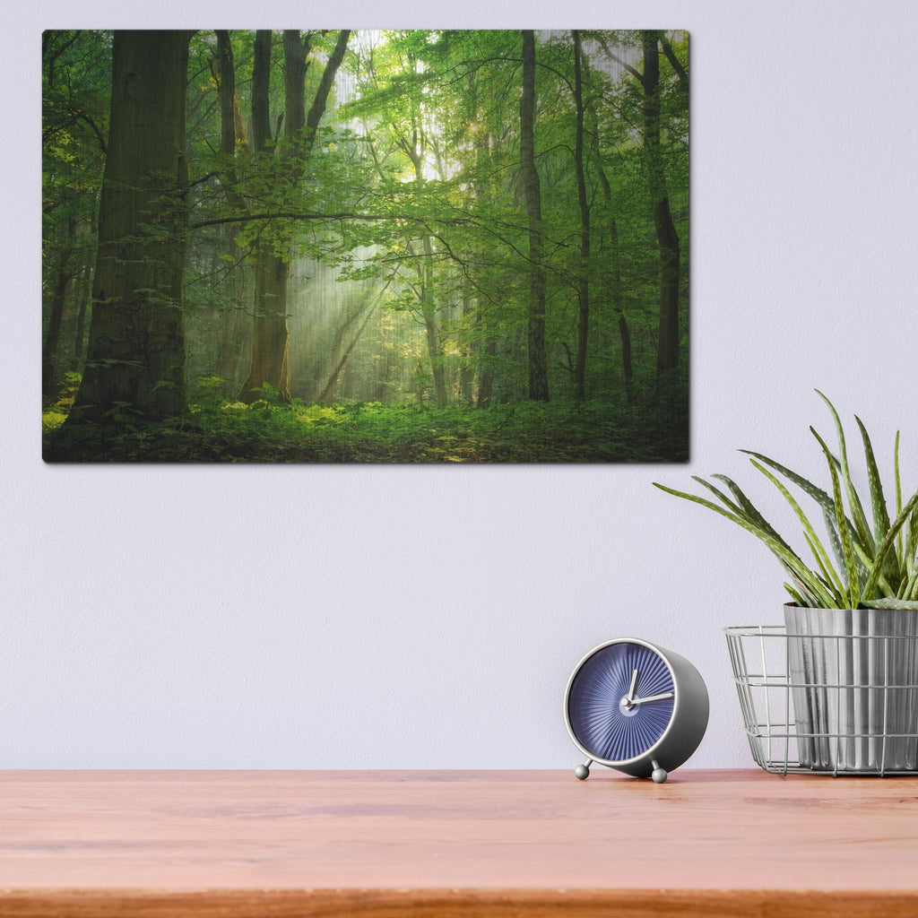 Luxe Metal Art 'Breathe' by Lars Van de Goor, Metal Wall Art,16x12