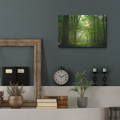 Luxe Metal Art 'Breathe' by Lars Van de Goor, Metal Wall Art,16x12