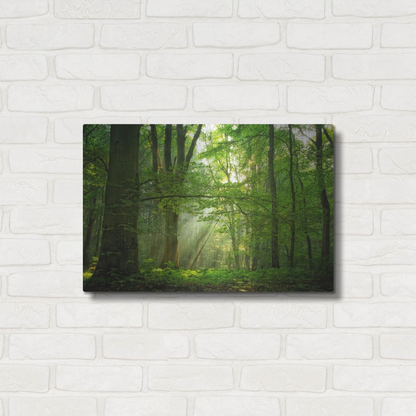 Luxe Metal Art 'Breathe' by Lars Van de Goor, Metal Wall Art,24x16