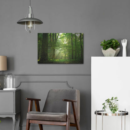 Luxe Metal Art 'Breathe' by Lars Van de Goor, Metal Wall Art,24x16