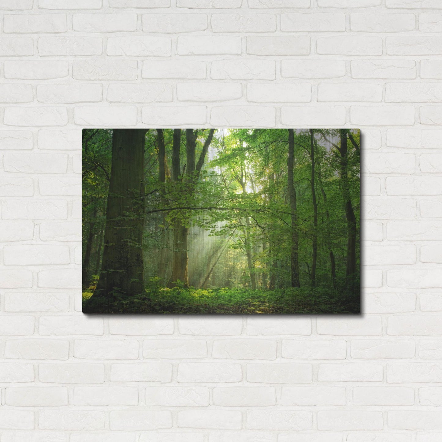 Luxe Metal Art 'Breathe' by Lars Van de Goor, Metal Wall Art,36x24