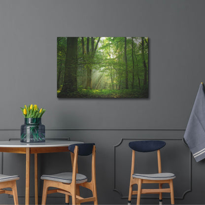 Luxe Metal Art 'Breathe' by Lars Van de Goor, Metal Wall Art,36x24