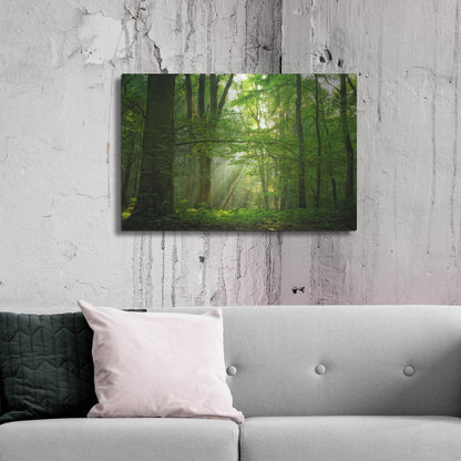 Luxe Metal Art 'Breathe' by Lars Van de Goor, Metal Wall Art,36x24