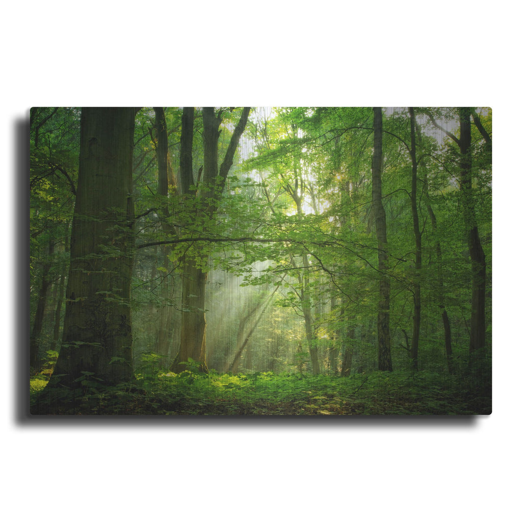 Luxe Metal Art 'Breathe' by Lars Van de Goor, Metal Wall Art