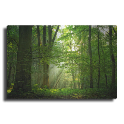 Luxe Metal Art 'Breathe' by Lars Van de Goor, Metal Wall Art