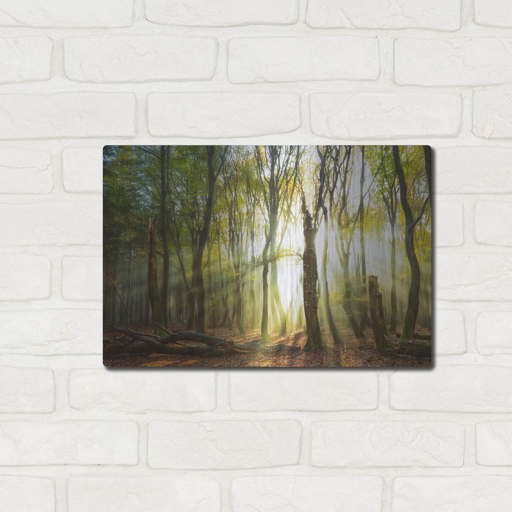 Luxe Metal Art 'Still Standing' by Lars Van de Goor, Metal Wall Art,16x12