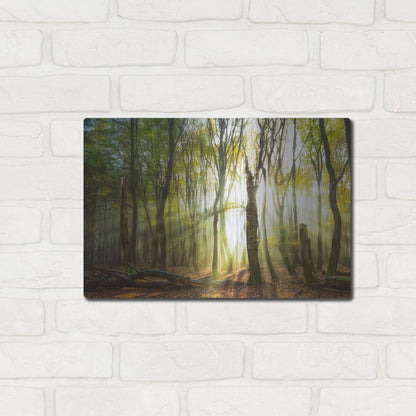 Luxe Metal Art 'Still Standing' by Lars Van de Goor, Metal Wall Art,16x12