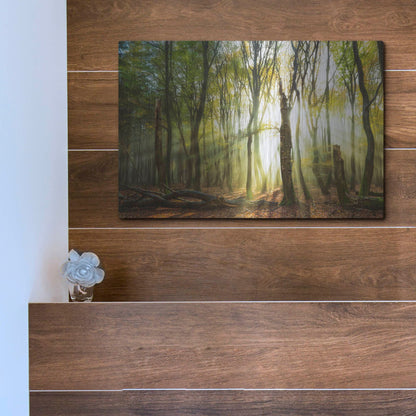 Luxe Metal Art 'Still Standing' by Lars Van de Goor, Metal Wall Art,16x12