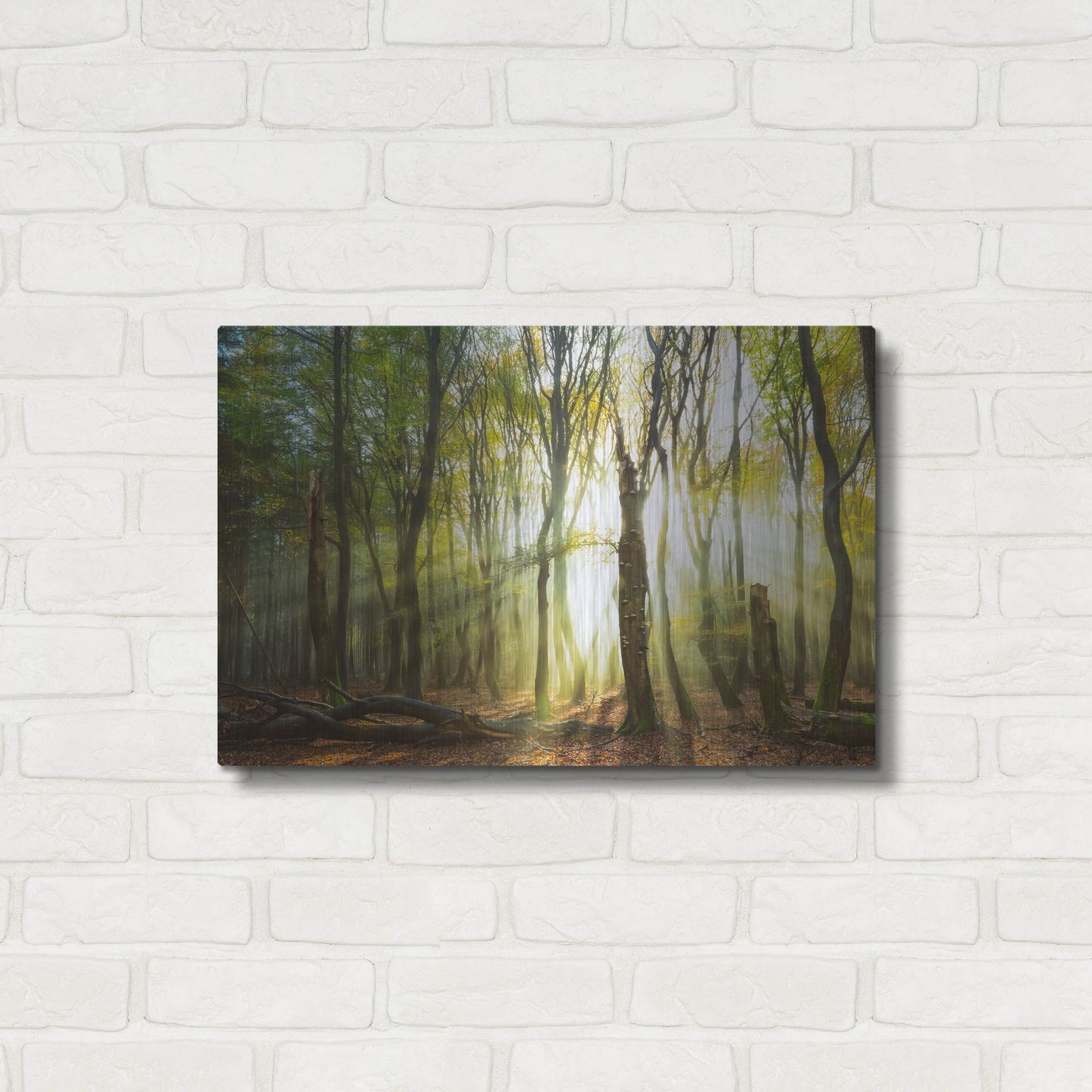 Luxe Metal Art 'Still Standing' by Lars Van de Goor, Metal Wall Art,24x16