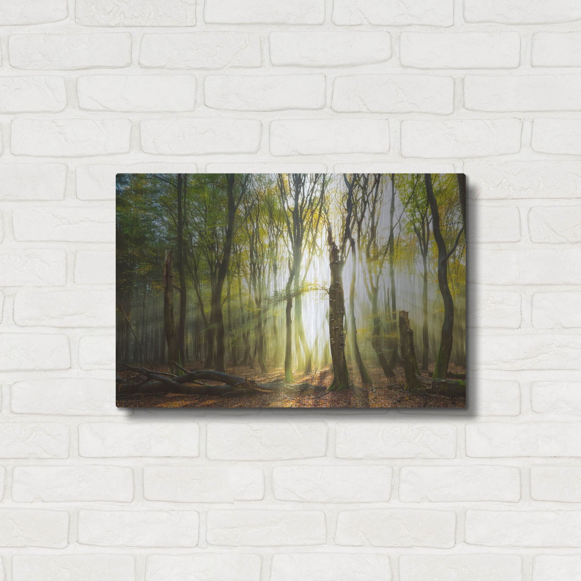 Luxe Metal Art 'Still Standing' by Lars Van de Goor, Metal Wall Art,24x16