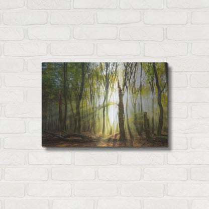 Luxe Metal Art 'Still Standing' by Lars Van de Goor, Metal Wall Art,24x16
