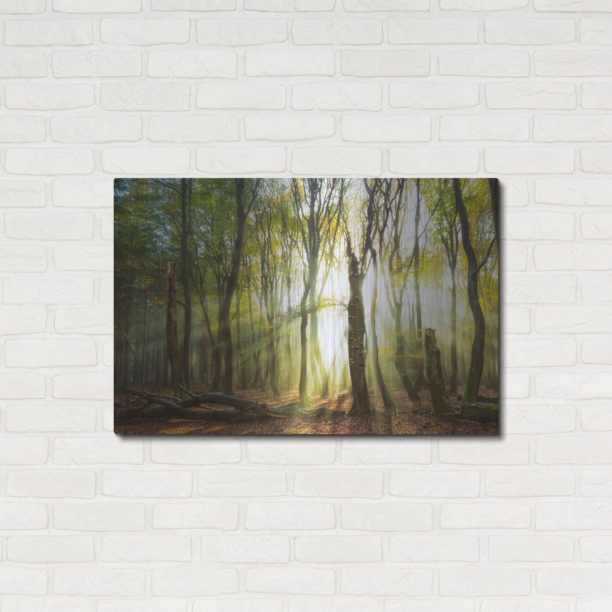 Luxe Metal Art 'Still Standing' by Lars Van de Goor, Metal Wall Art,36x24