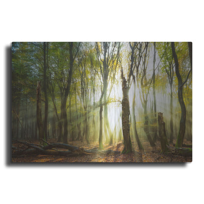 Luxe Metal Art 'Still Standing' by Lars Van de Goor, Metal Wall Art