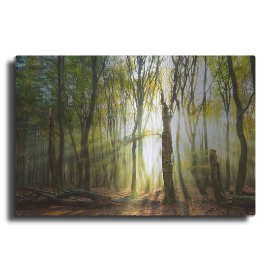 Luxe Metal Art 'Still Standing' by Lars Van de Goor, Metal Wall Art