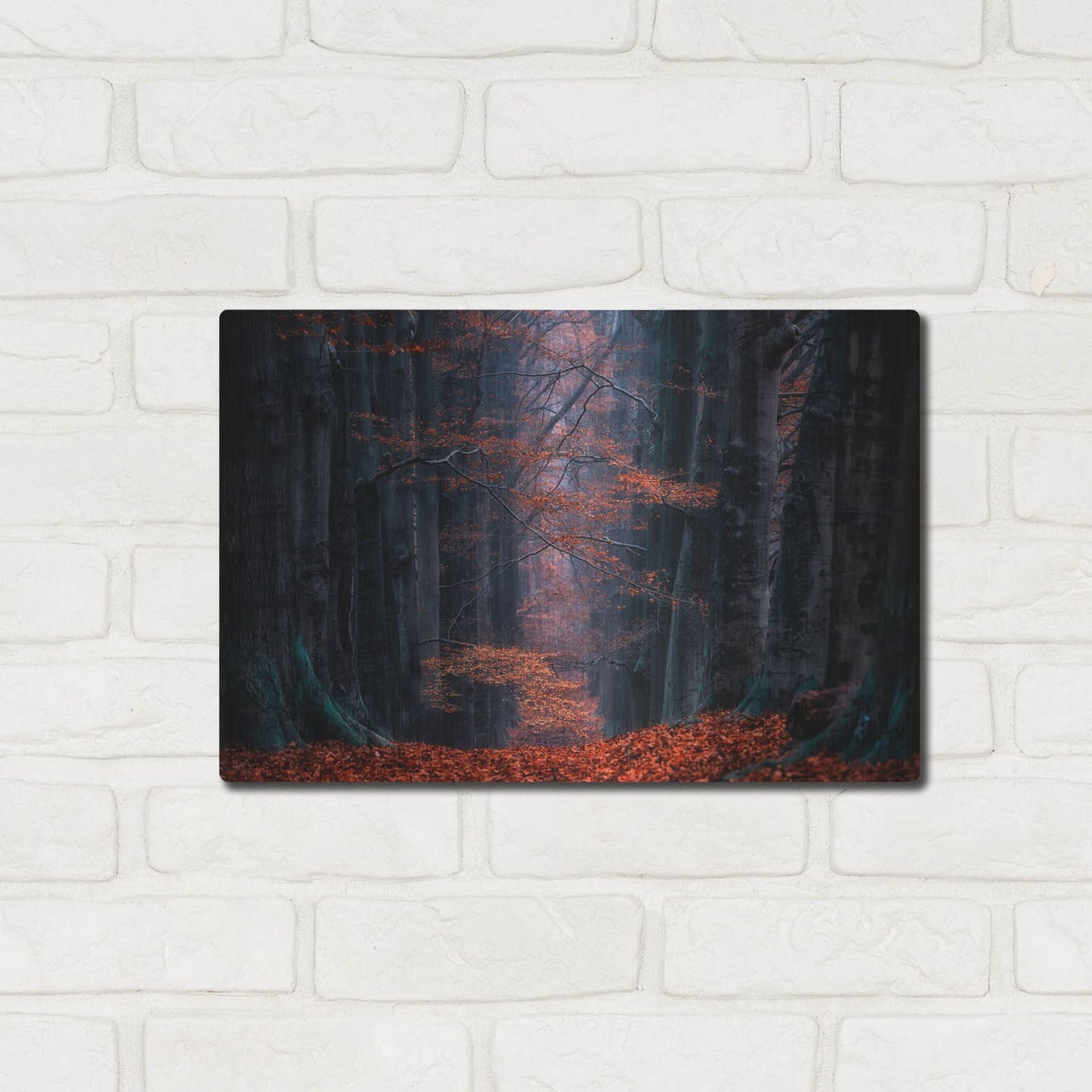 Luxe Metal Art 'Synapse' by Lars Van de Goor, Metal Wall Art,16x12