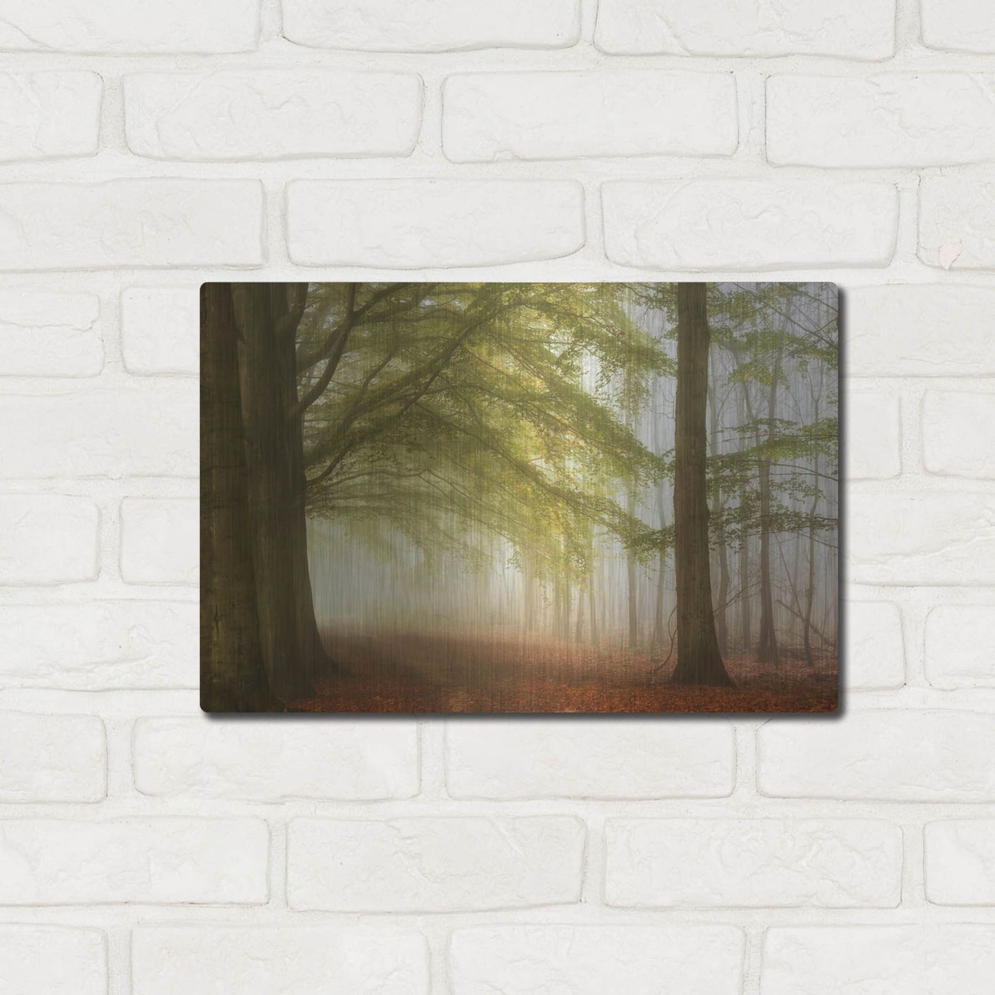 Luxe Metal Art 'Dreamwalkers' by Lars Van de Goor, Metal Wall Art,16x12