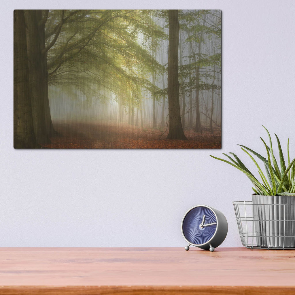 Luxe Metal Art 'Dreamwalkers' by Lars Van de Goor, Metal Wall Art,16x12