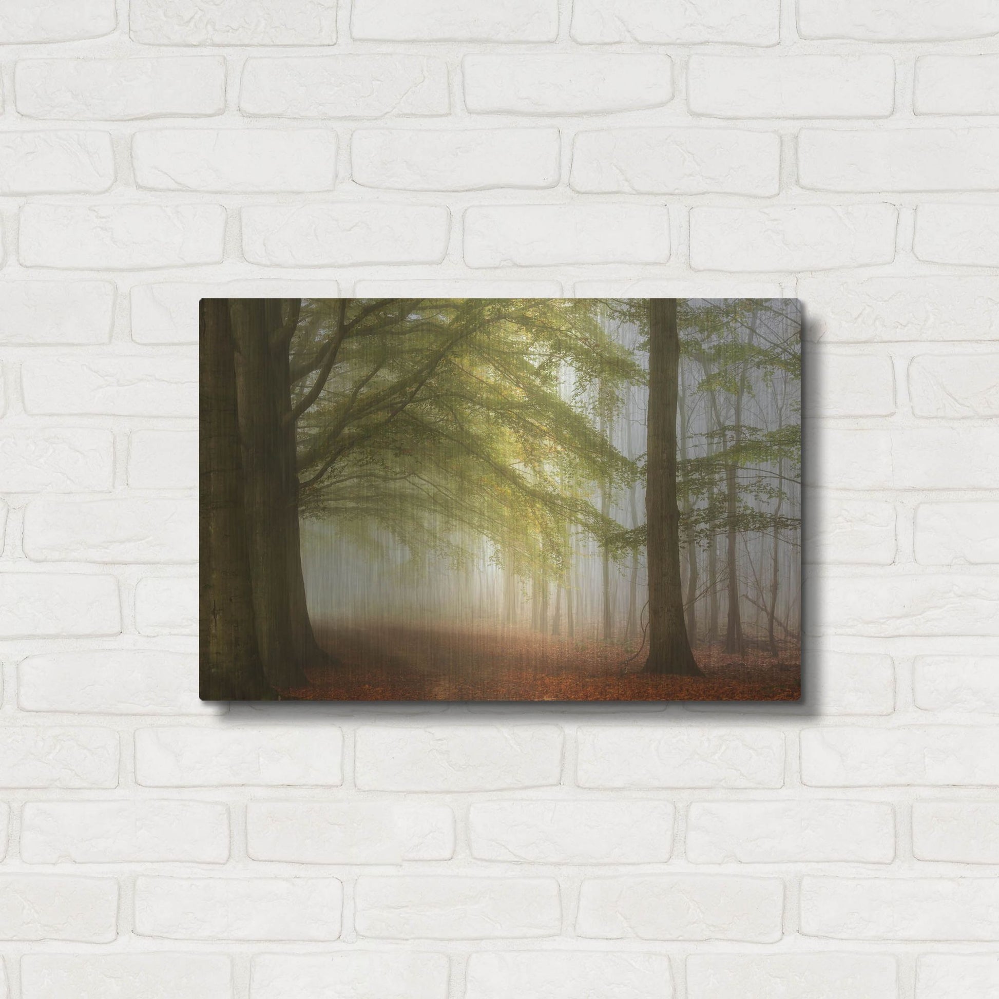 Luxe Metal Art 'Dreamwalkers' by Lars Van de Goor, Metal Wall Art,24x16