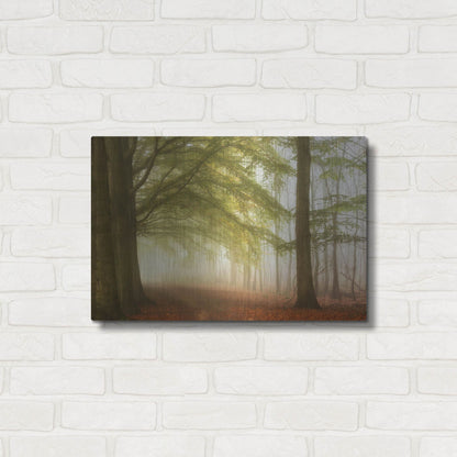 Luxe Metal Art 'Dreamwalkers' by Lars Van de Goor, Metal Wall Art,24x16