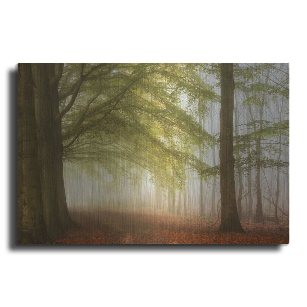 Luxe Metal Art 'Dreamwalkers' by Lars Van de Goor, Metal Wall Art