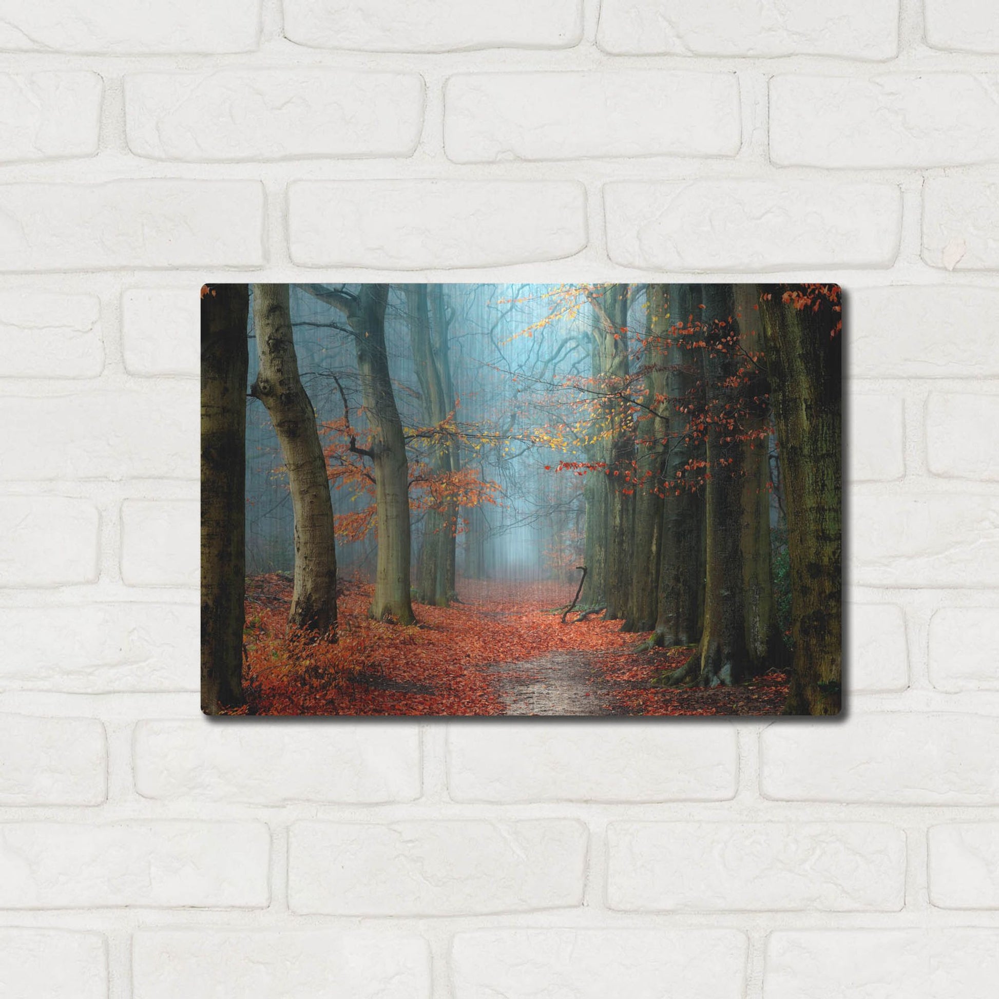 Luxe Metal Art 'Bussum in Fall' by Lars Van de Goor, Metal Wall Art,16x12