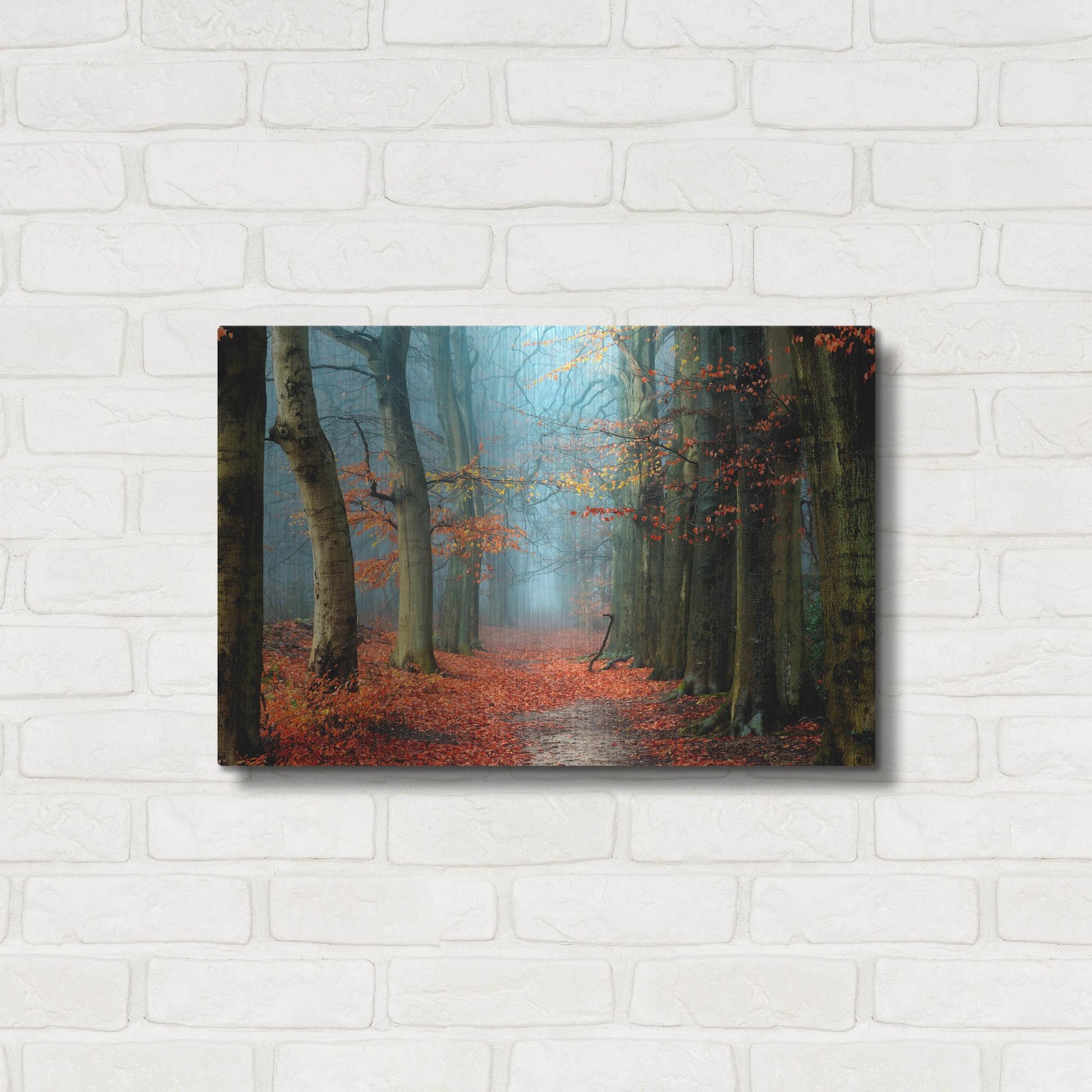 Luxe Metal Art 'Bussum in Fall' by Lars Van de Goor, Metal Wall Art,24x16