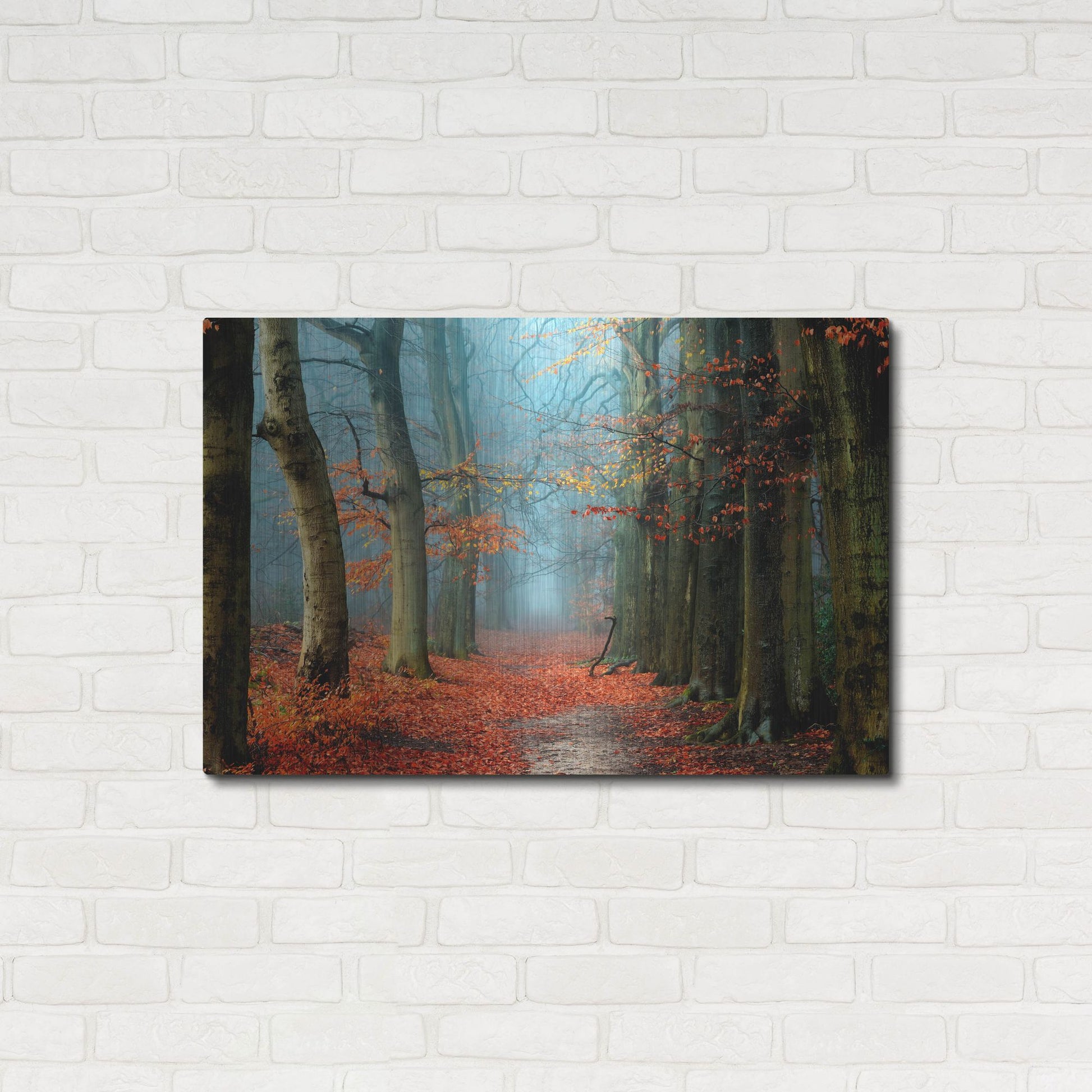 Luxe Metal Art 'Bussum in Fall' by Lars Van de Goor, Metal Wall Art,36x24