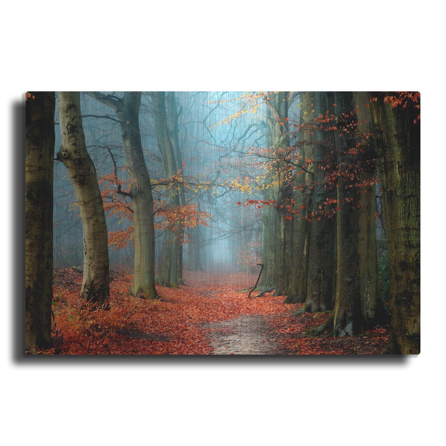 Luxe Metal Art 'Bussum in Fall' by Lars Van de Goor, Metal Wall Art