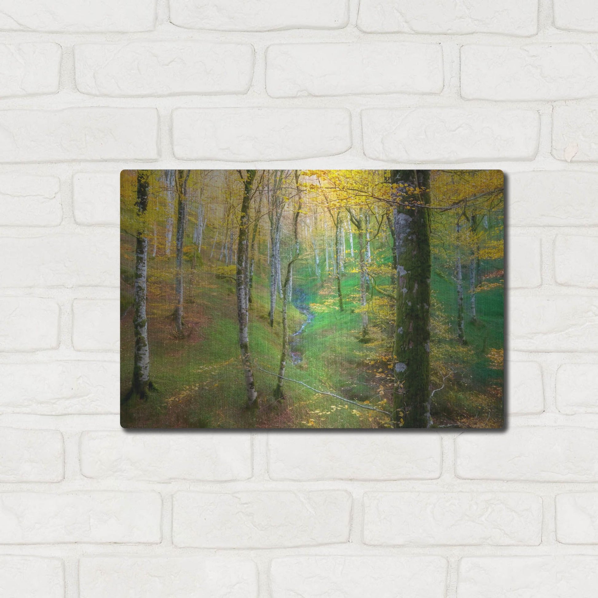 Luxe Metal Art 'Dream of Birches' by Lars Van de Goor, Metal Wall Art,16x12