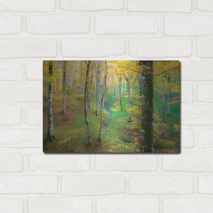 Luxe Metal Art 'Dream of Birches' by Lars Van de Goor, Metal Wall Art,16x12