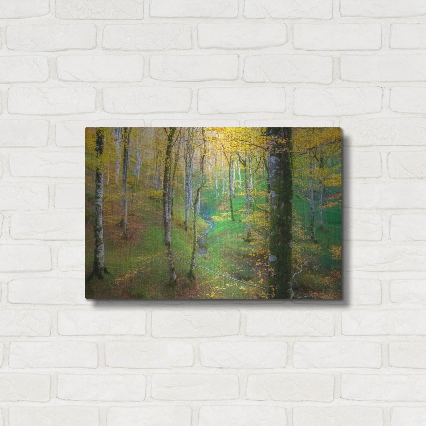 Luxe Metal Art 'Dream of Birches' by Lars Van de Goor, Metal Wall Art,24x16