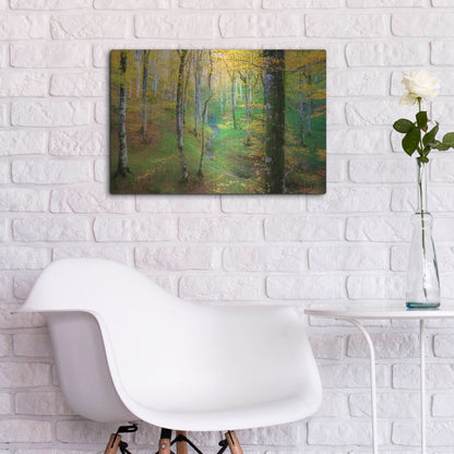 Luxe Metal Art 'Dream of Birches' by Lars Van de Goor, Metal Wall Art,24x16