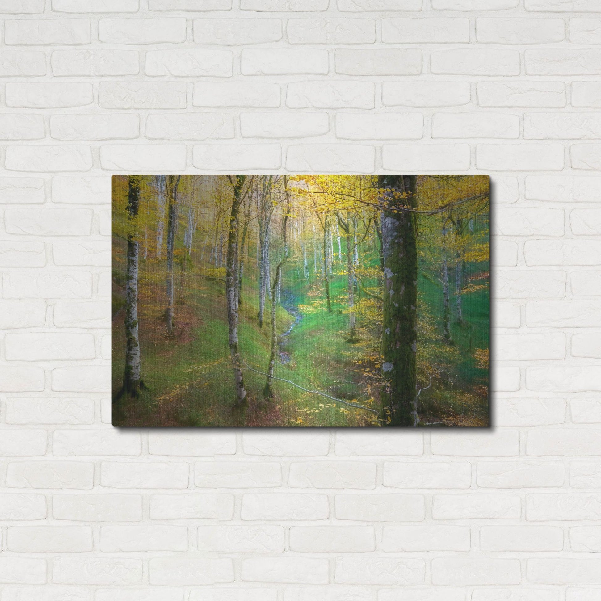Luxe Metal Art 'Dream of Birches' by Lars Van de Goor, Metal Wall Art,36x24