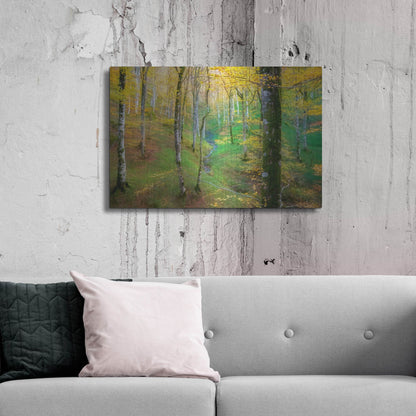 Luxe Metal Art 'Dream of Birches' by Lars Van de Goor, Metal Wall Art,36x24