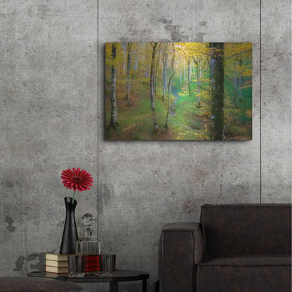 Luxe Metal Art 'Dream of Birches' by Lars Van de Goor, Metal Wall Art,36x24