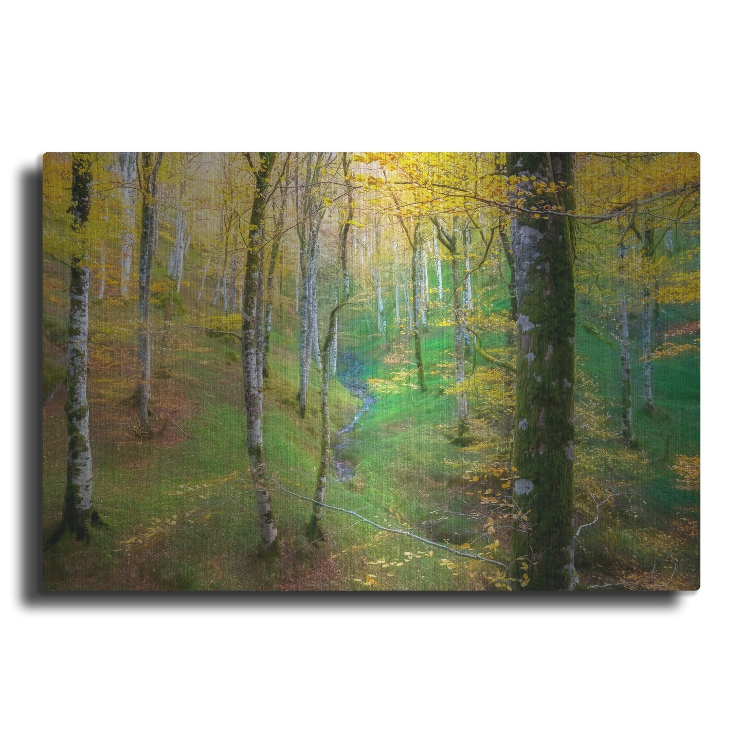 Luxe Metal Art 'Dream of Birches' by Lars Van de Goor, Metal Wall Art