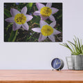 'Flowers Iii' by Luxe Portfolio – Metal Wall Art, 16x12 room view