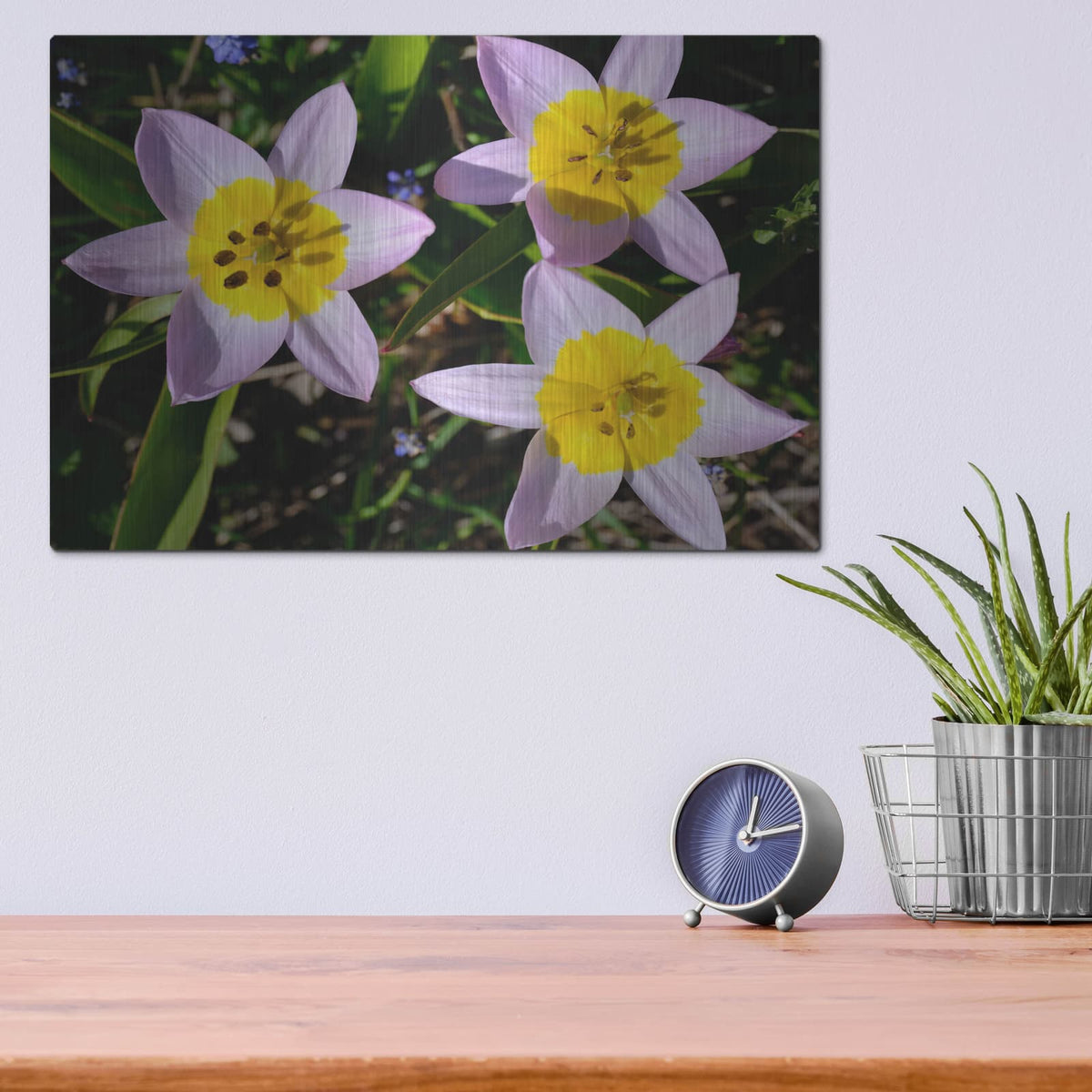 'Flowers Iii' by Luxe Portfolio – Metal Wall Art, 16x12 room view