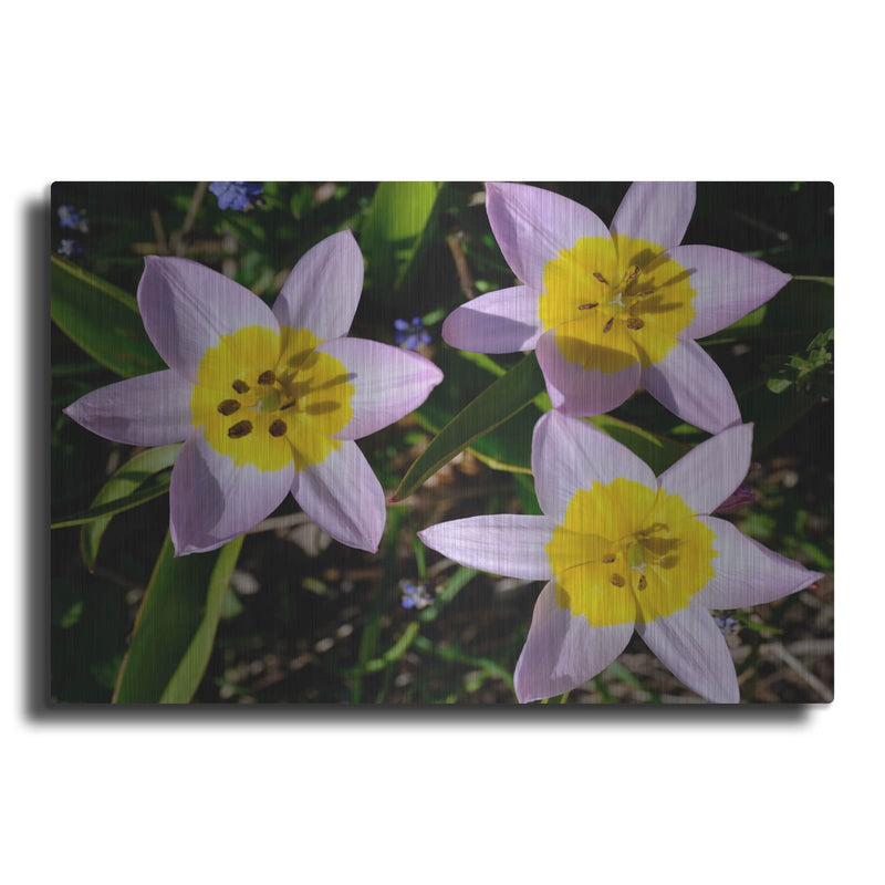 'Flowers Iii' by Luxe Portfolio – Metal Wall Art
