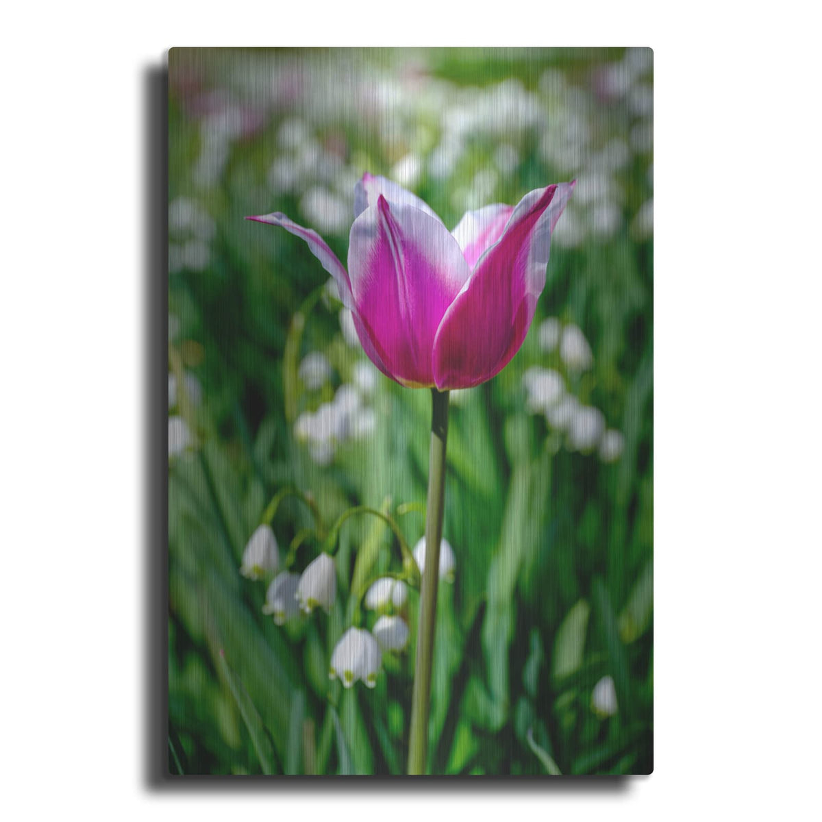 'Flower Iv' by Luxe Portfolio – Metal Wall Art