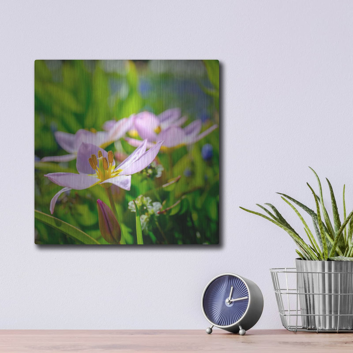 'Flower I' by Luxe Portfolio – Metal Wall Art, 12x12 room view