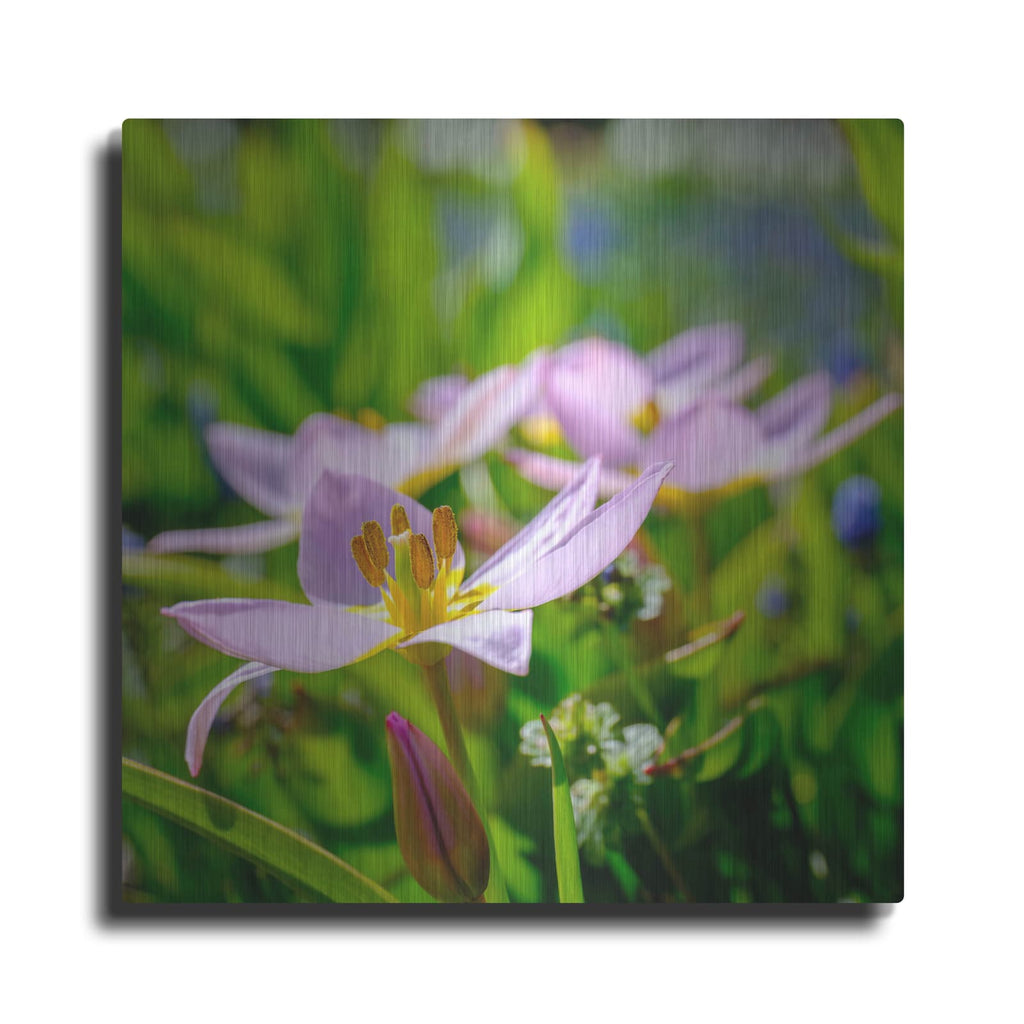 'Flower I' by Luxe Portfolio – Metal Wall Art