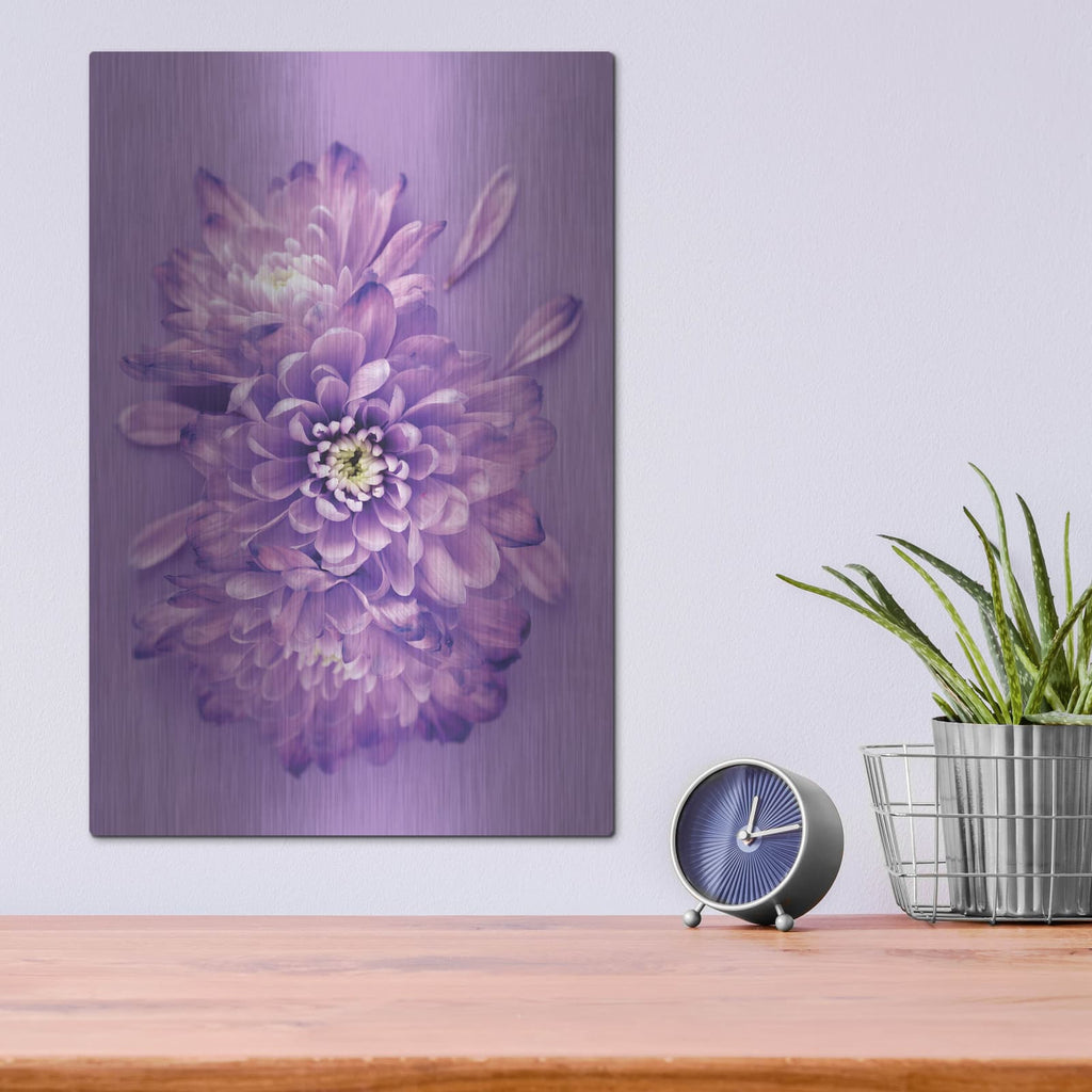 'Lavender Chrysanthemums' by Incado – Metal Wall Art, 12x16 room view