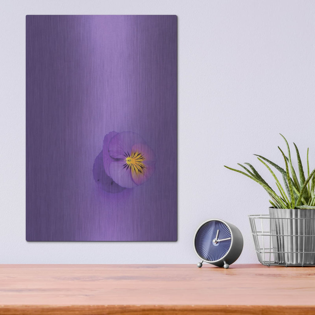 'Lavender Pansy' by Incado – Metal Wall Art, 12x16 room view
