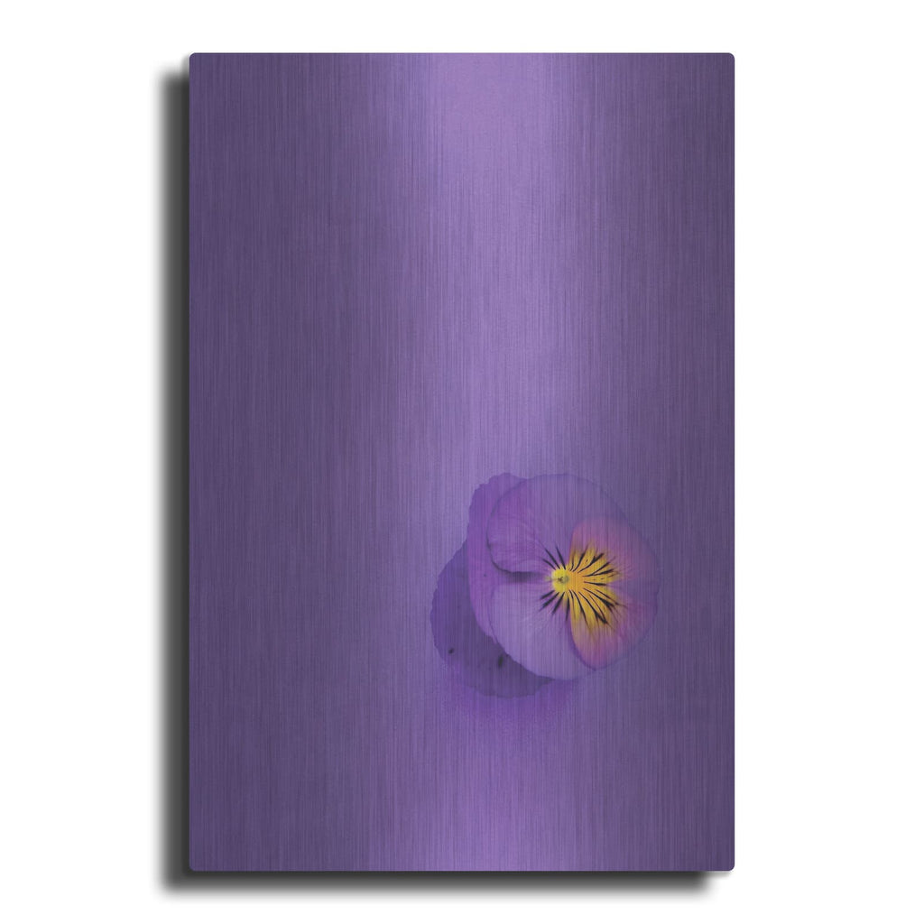 'Lavender Pansy' by Incado – Metal Wall Art