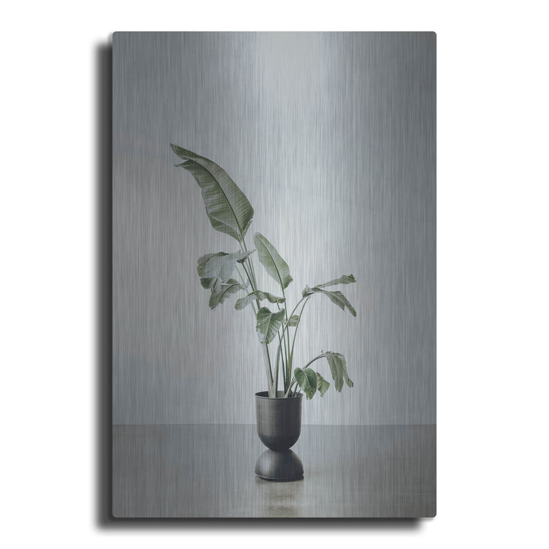 'Portrait Of A Plant' by Incado – Metal Wall Art