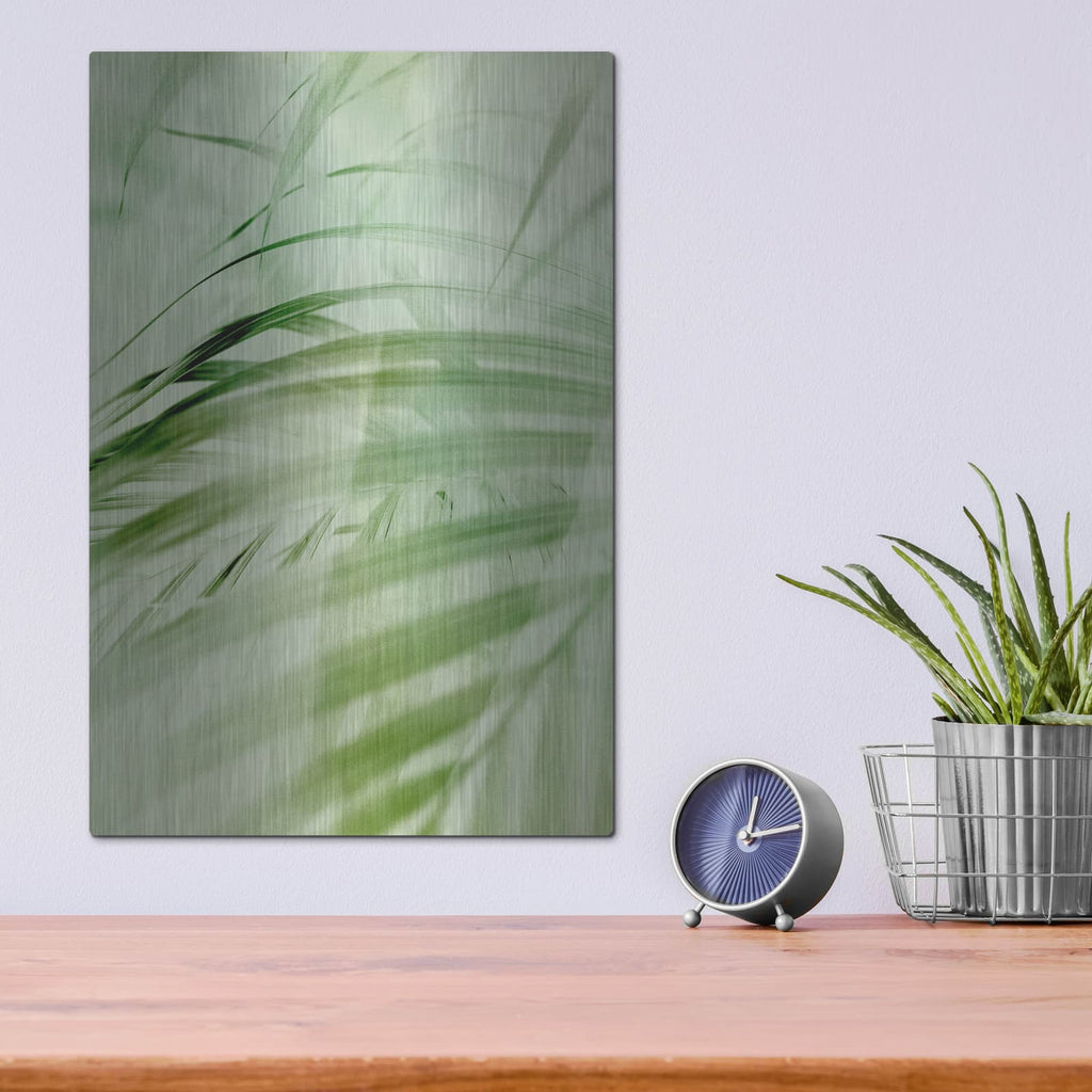 'Sage Palm' by Incado – Metal Wall Art, 12x16 room view